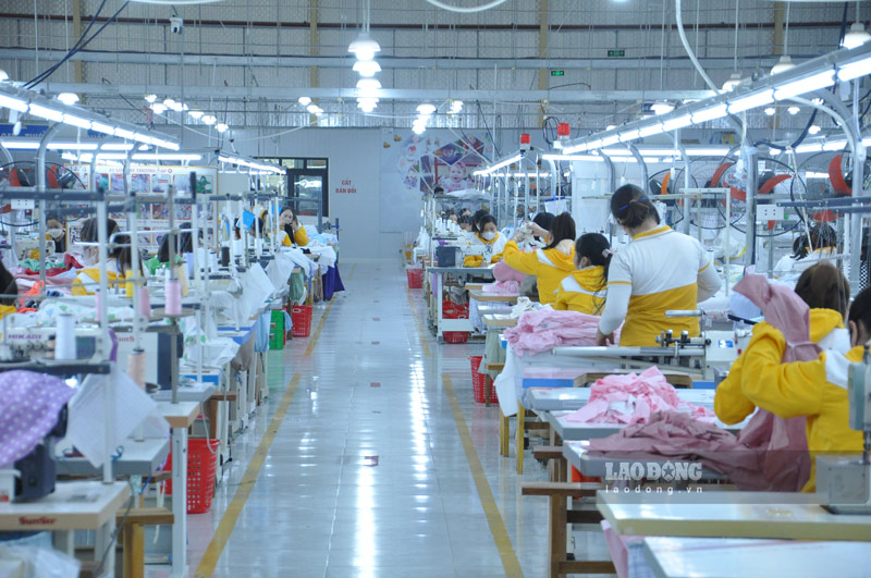 Hai khu công nghiệp được kỳ vọng tạo việc làm cho khoảng 15.000-20.000 lao động sau khi đi vào hoạt động. Ảnh: Đinh Đại