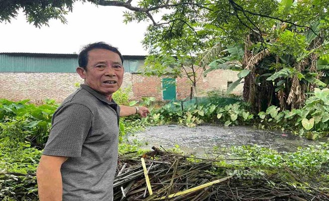 Ô nhiễm kéo dài từ các trang trại chăn nuôi ở Hưng Yên