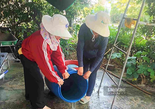 Dịch sốt xuất huyết, tay chân miệng diễn biến phức tạp ở Lâm Đồng