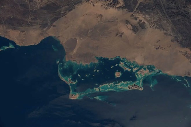 Houthi lên kế hoạch thu phí tàu qua Biển Đỏ, Iran tham gia hoạch định