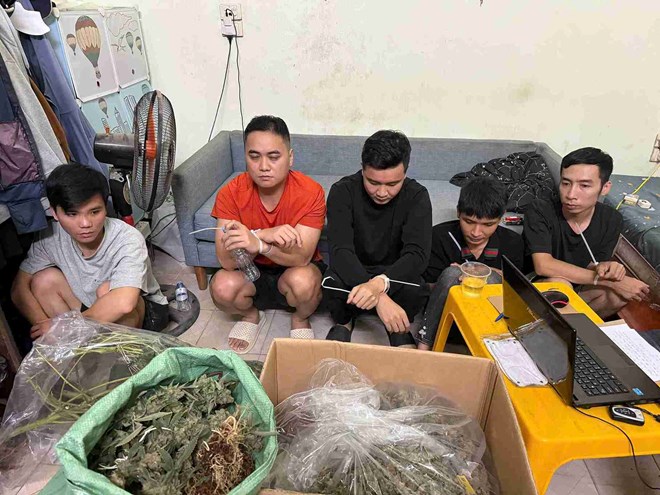 Nhóm đối tượng trồng, mua bán trái phép gần 74 kg cần sa tại Hưng Yên