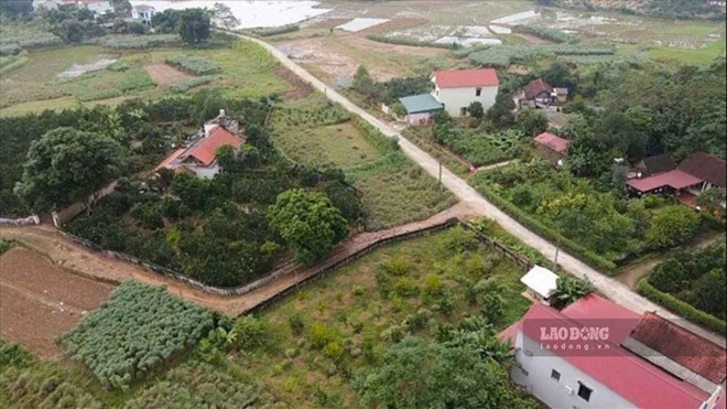 Xây nhà trên đất nông nghiệp 5 năm, nộp phạt vẫn có thể bị tháo dỡ