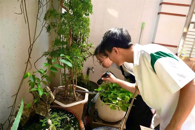 Hải Phòng còn 12 ổ dịch sốt xuất huyết đang hoạt động