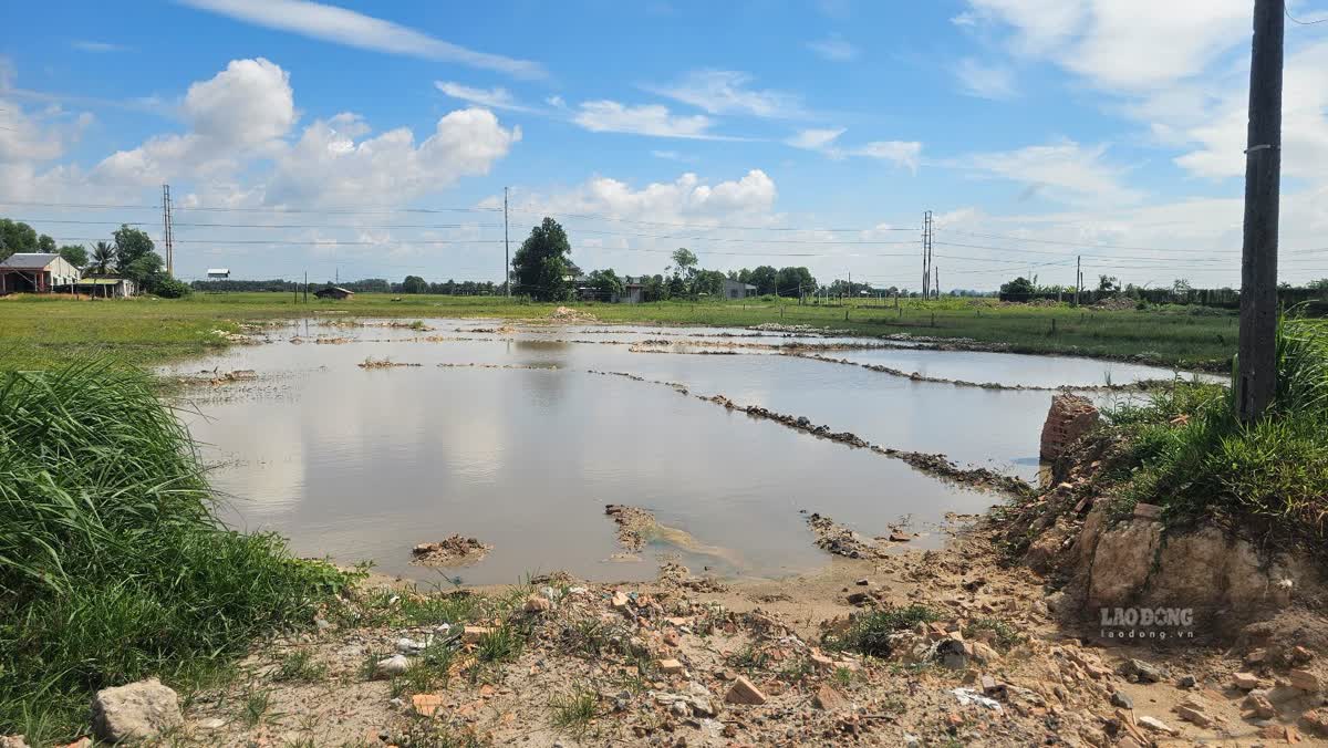 Tây Ninh chấn chỉnh tình trạng tự ý san lấp, xây dựng trên đất sai quy định. Ảnh: Huỳnh Du chụp ngày 8.9