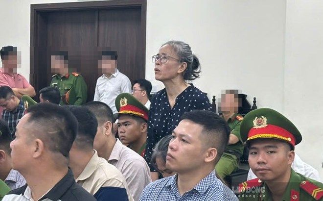 Nữ cựu Chi cục trưởng phủ nhận đòi hỏi ông trùm sữa giả chi tiền để tạo thuận lợi
