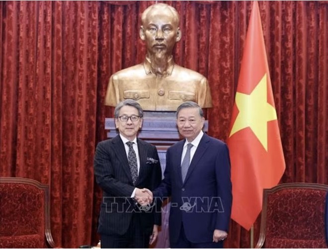 Việt Nam coi trọng hợp tác đảm bảo an ninh năng lượng với Nhật Bản