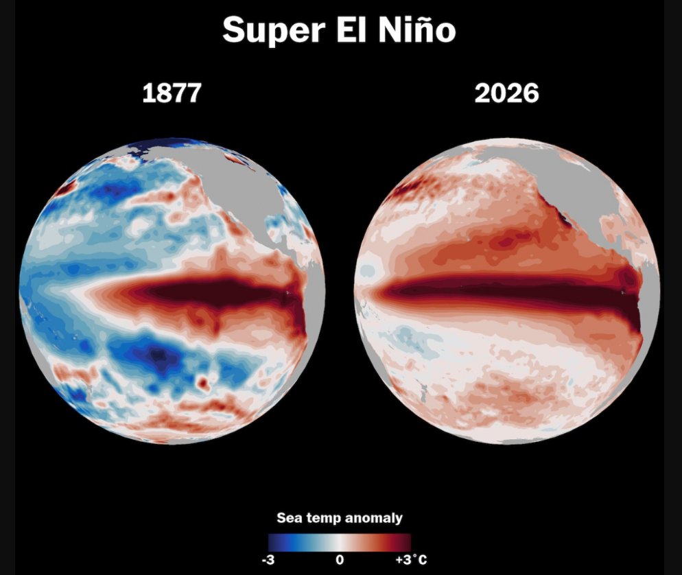 Hiện tượng siêu El Nino dữ dội nhất từng được ghi nhận vào năm 1877-1878 và dự kiến vào năm 2026. Ảnh: ECMWF/NOAA
