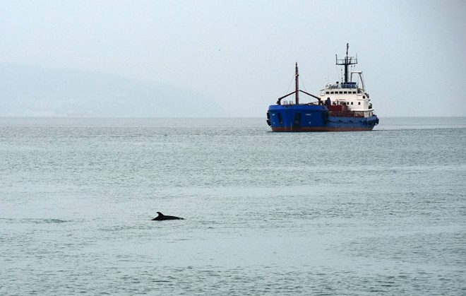 Nga cảnh báo hậu quả khó lường nếu tàu hàng bị bắt giữ ở biển Baltic