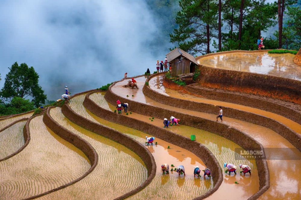 Ruộng bậc thang mùa nước đổ