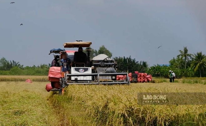 Lao động nông nghiệp khó chuyển nghề dù nhiều việc làm