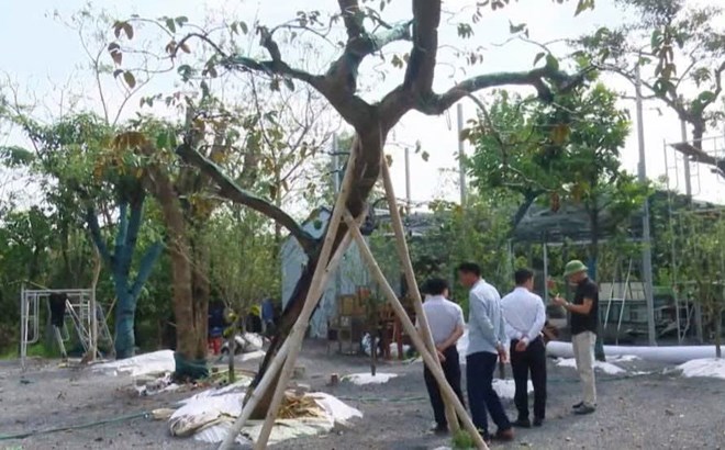 Hơn 200 trường hợp vi phạm xây dựng ở Hà Nội buộc tháo dỡ trước 15.11